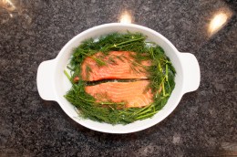 gravadlax_056