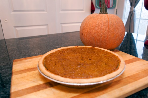 pumpkin pie_090